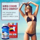 뉴바디 이미지