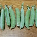 (주)달달콩 이미지