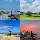 엔조이모몰리 | 혼자 제주도 여행 7박8일 일주일 기록