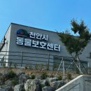 남양동물보호센터 | 천안시동물보호센터 | 유기견 입양 후기 (포인핸드)