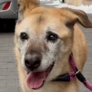 봉선농장 이미지