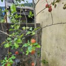 지계마을 이미지