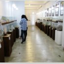 세계조가비박물관 이미지