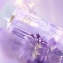 화이트오 이미지