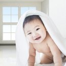 지혜로운점빵