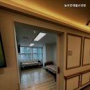 늘푸른인력