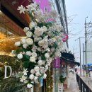 담다플레르