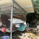 환희네 꿀벌농원 이미지