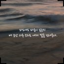 파도의숨결 티스토리