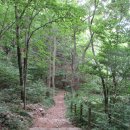 6월25일 (황금산-몽돌해변=서산시) 이미지