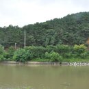 양촌읍의 대형 연꽃 연못 이미지