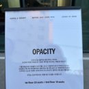 오퍼시티(OPACITY)