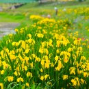 장성공설운동장 11 이미지