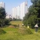 월성박씨종중묘역 이미지