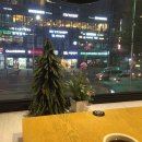 빈스톡 이미지