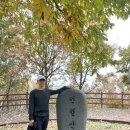 웰니스트레일 | 세종 이음 웰니스 트레일 투어 – 전월산 트레일러닝 교육 후기