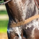 아이펫 동물병원 이미지