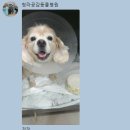 청라공감동물병원 이미지