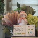 꼬마김밥여행 | [수원 맛집] 권선구 호매실 예스꼬마김밥 내돈내산 후기