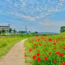 봉방천변길 이미지