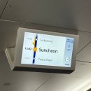 순천만 풍경 | 11월 순천만국가정원 풍경 내돈내산 후기 총정리 (정원드림호, 스카이큐브, 주차)