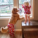 멍이사랑 이미지