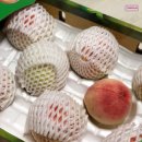 장택농장 이미지