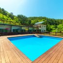 낮은굴뚝 애견펜션 이미지