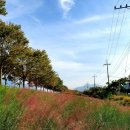 나무고아원 이미지