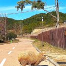 반송목장 | 부산 단풍 명소 해운대 수목원 유모차 양떼 목장 경남 동물원