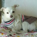 두리전자 이미지