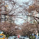 달록비치 이미지