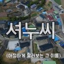 베베하루 이미지