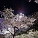 수지로227번길 네이버블로그