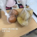 대지로127번길 | 4월 20일 - 26일 일상