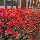 변상진 신경과 의원 이미지