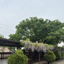 율암온천 이미지