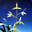 죽백3로 이미지