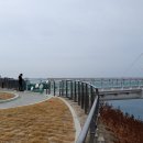 2020 남해 설리 스카이워크 이미지