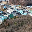 목동 행정사사무소 이미지