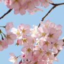 청주성인태권도 이미지