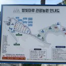 별빛마루관광농원 이미지