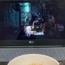 서윗트
