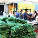 안내면행정복지센터 이미지