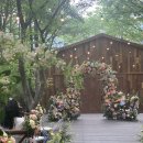 웨딩스위치 이미지