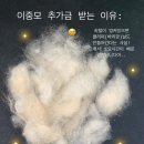 하이파이브 독스 네이버블로그
