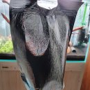 소마 새우농장 이미지