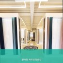별의창