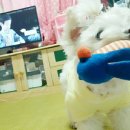 이박사동물병원 이미지