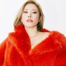 신가비